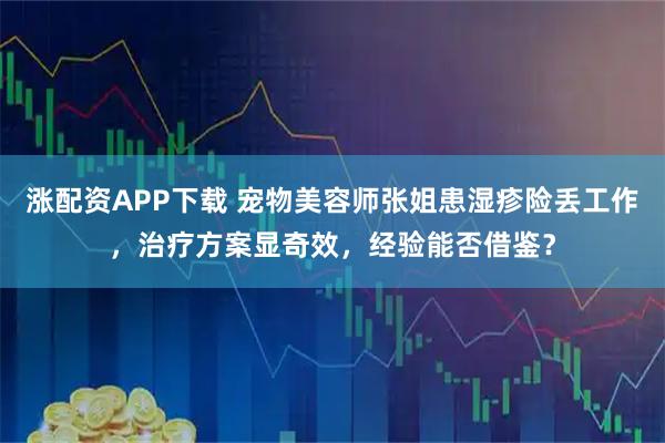 涨配资APP下载 宠物美容师张姐患湿疹险丢工作，治疗方案显奇效，经验能否借鉴？